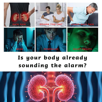 Organic Eight Treasure Kidney Tea Formula Ginseng Six Treasure Tea Combination Scented Tea Red Date Wolfberry Tea Men'S and Women Tea Health Dried Fruit Beverage Loaded Tea Ginseng Infused Eight Treasure Tea Packets Natural Sweet Natural Tea Bags